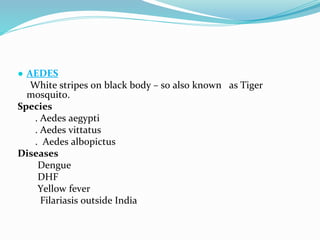 Vector and rodent control