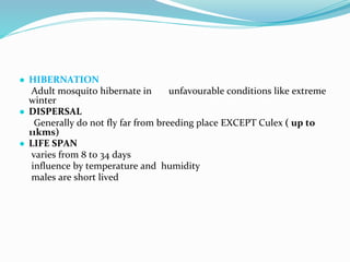 Vector and rodent control