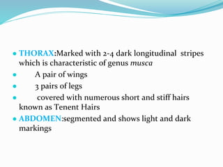 Vector and rodent control