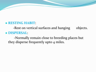 Vector and rodent control