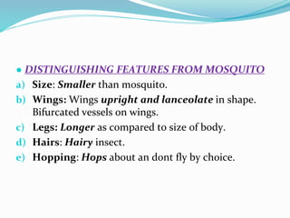 Vector and rodent control