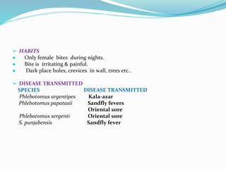 Vector and rodent control