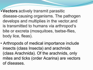 Vector and rodent control