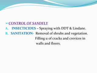 Vector and rodent control