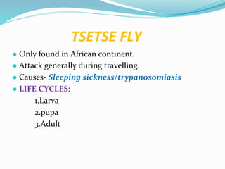 Vector and rodent control