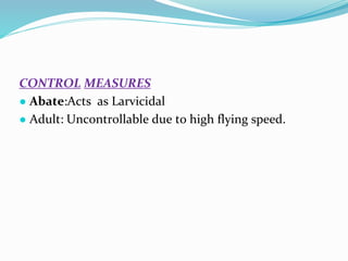 Vector and rodent control