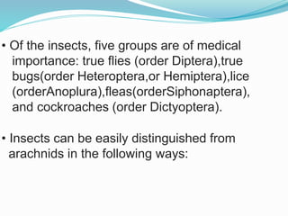 Vector and rodent control