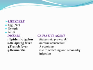 Vector and rodent control