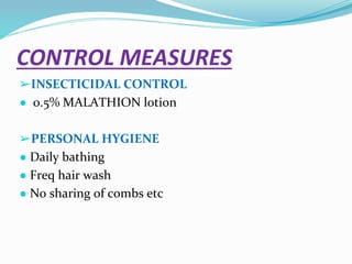 Vector and rodent control