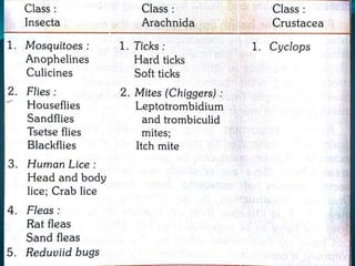 Vector and rodent control