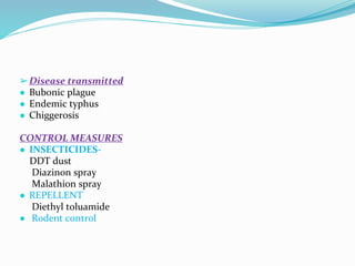 Vector and rodent control