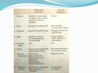 Vector and rodent control