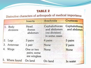Vector and rodent control