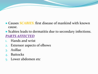 Vector and rodent control