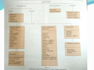 Vector and rodent control