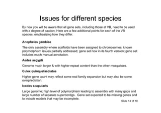 VectorBase gene sets