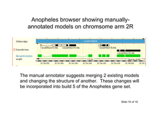 VectorBase gene sets