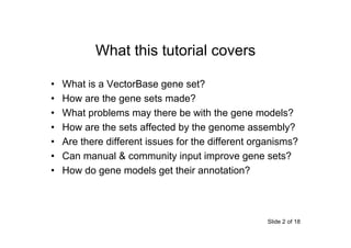VectorBase gene sets