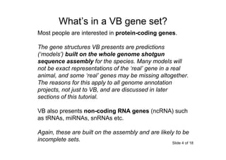 VectorBase gene sets