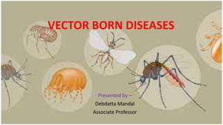 VECTOR BORN DISEASES
Presented by –
Debdatta Mandal
Associate Professor
 