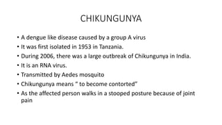 CHIKUNGUNYA
• A dengue like disease caused by a group A virus
• It was first isolated in 1953 in Tanzania.
• During 2006, there was a large outbreak of Chikungunya in India.
• It is an RNA virus.
• Transmitted by Aedes mosquito
• Chikungunya means “ to become contorted”
• As the affected person walks in a stooped posture because of joint
pain
 