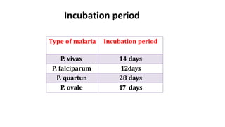 Incubation period
Type of malaria Incubation period
P. vivax 14 days
P. falciparum 12days
P. quartun 28 days
P. ovale 17 days
 