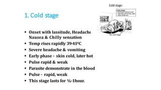 1. Cold stage
 Onset with lassitude, Headache,
Nausea & Chilly sensation
 Temp rises rapidly 39-410C
 Severe headache & vomiting
 Early phase – skin cold, later hot
 Pulse rapid & weak
 Parasite demonstrate in the blood
 Pulse – rapid, weak
 This stage lasts for ¼-1hour.
 