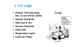 2. Hot stage
 Patient feels burning
hot & cast off his cloths
 Intense headache
 Skin hot & dry
 Nausea diminish
 Pulse full
 Respiration rapid
 Lasts for 2-4hrs
 