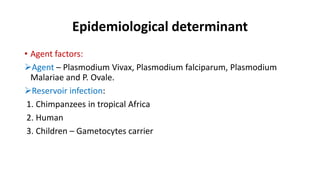 Epidemiological determinant
• Agent factors:
Agent – Plasmodium Vivax, Plasmodium falciparum, Plasmodium
Malariae and P. Ovale.
Reservoir infection:
1. Chimpanzees in tropical Africa
2. Human
3. Children – Gametocytes carrier
 