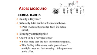AEDES MOSQUITO
FEEDING HABITS:
 Usually a Day biter,
 preferably bites on the ankles and elbows.
⚫ (Peak : within 2 hours after dawn and before
sunset.)
 Is strongly anthropophilic.
 Known to be a nervous feeder
⚫ it bites more than one host to complete one meal.
⚫ This feeding habit results in the generation of
multiple cases and the clustering of dengue cases
in the cities.
 
