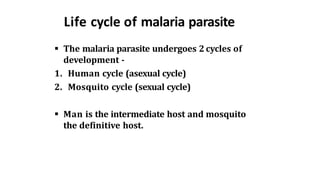 Life cycle of malaria parasite
 The malaria parasite undergoes 2 cycles of
development -
1. Human cycle (asexual cycle)
2. Mosquito cycle (sexual cycle)
 Man is the intermediate host and mosquito
the definitive host.
 