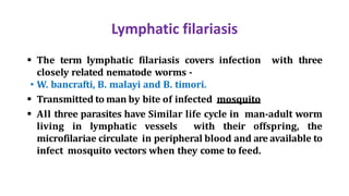 Lymphatic filariasis
 The term lymphatic filariasis covers infection with three
closely related nematode worms -
• W. bancrafti, B. malayi and B. timori.
 Transmitted to man by bite of infected mosquito
 All three parasites have Similar life cycle in man-adult worm
living in lymphatic vessels with their offspring, the
microfilariae circulate in peripheral blood and are available to
infect mosquito vectors when they come to feed.
 