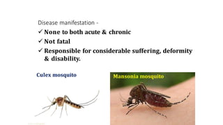 Culex mosquito
Disease manifestation -
 None to both acute & chronic
 Not fatal
 Responsible for considerable suffering, deformity
& disability.
Mansonia mosquito
 