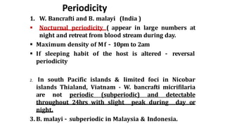 Periodicity
1. W. Bancrafti and B. malayi (India )
 Nocturnal periodicity ( appear in large numbers at
night and retreat from blood stream during day.
 Maximum density of Mf – 10pm to 2am
 If sleeping habit of the host is altered – reversal
periodicity
2. In south Pacific islands & limited foci in Nicobar
islands Thialand, Viatnam - W. bancrafti micrifilaria
are not periodic (subperiodic) and detectable
throughout 24hrs with slight peak during day or
night.
3. B. malayi – subperiodic in Malaysia & Indonesia.
 