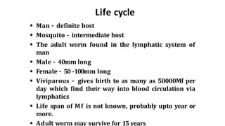 Life cycle
 Man – definite host
 Mosquito – intermediate host
 The adult worm found in the lymphatic system of
man
 Male – 40mm long
 Female – 50 -100mm long
 Viviparous – gives birth to as many as 50000Mf per
day which find their way into blood circulation via
lymphatics
 Life span of Mf is not known, probably upto year or
more.
 Adult worm may survive for 15 years
 