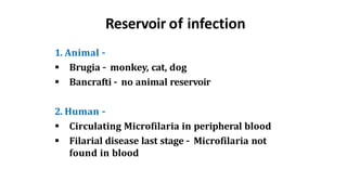 Reservoir of infection
1. Animal –
 Brugia – monkey, cat, dog
 Bancrafti – no animal reservoir
2. Human –
 Circulating Microfilaria in peripheral blood
 Filarial disease last stage – Microfilaria not
found in blood
 