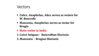 Vectors
 Culex, Anaphelus, Ades serves as vectors for
W. Bancrafti
 Mansonia, Anophelus serves as vector for
Brugia
 Main vector in India
1.Culex fatigans – Bancraftian filariasis
2. Mansonia – Brugian filariasis
 