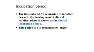 Incubation period
 The time interval from invasion of infective
larvae to the development of clinical
manifestations is known as the clinical
incubation period.
 This period is 8 to 16 months or longer
 