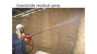 Insecticide residual spray
 