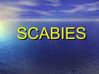 SCABIES

     26
 