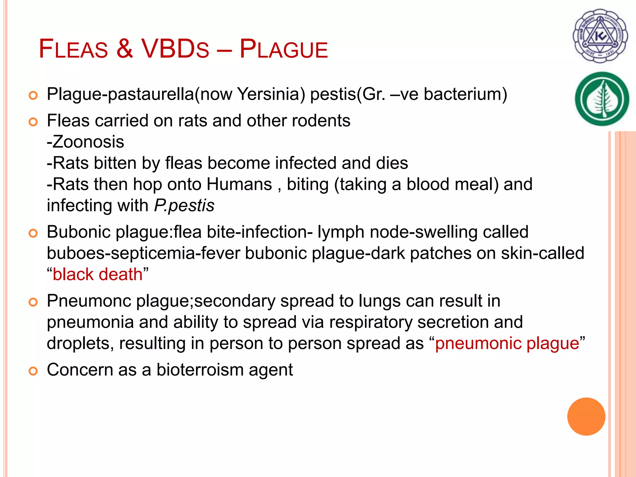Vector borne disease | PPTX