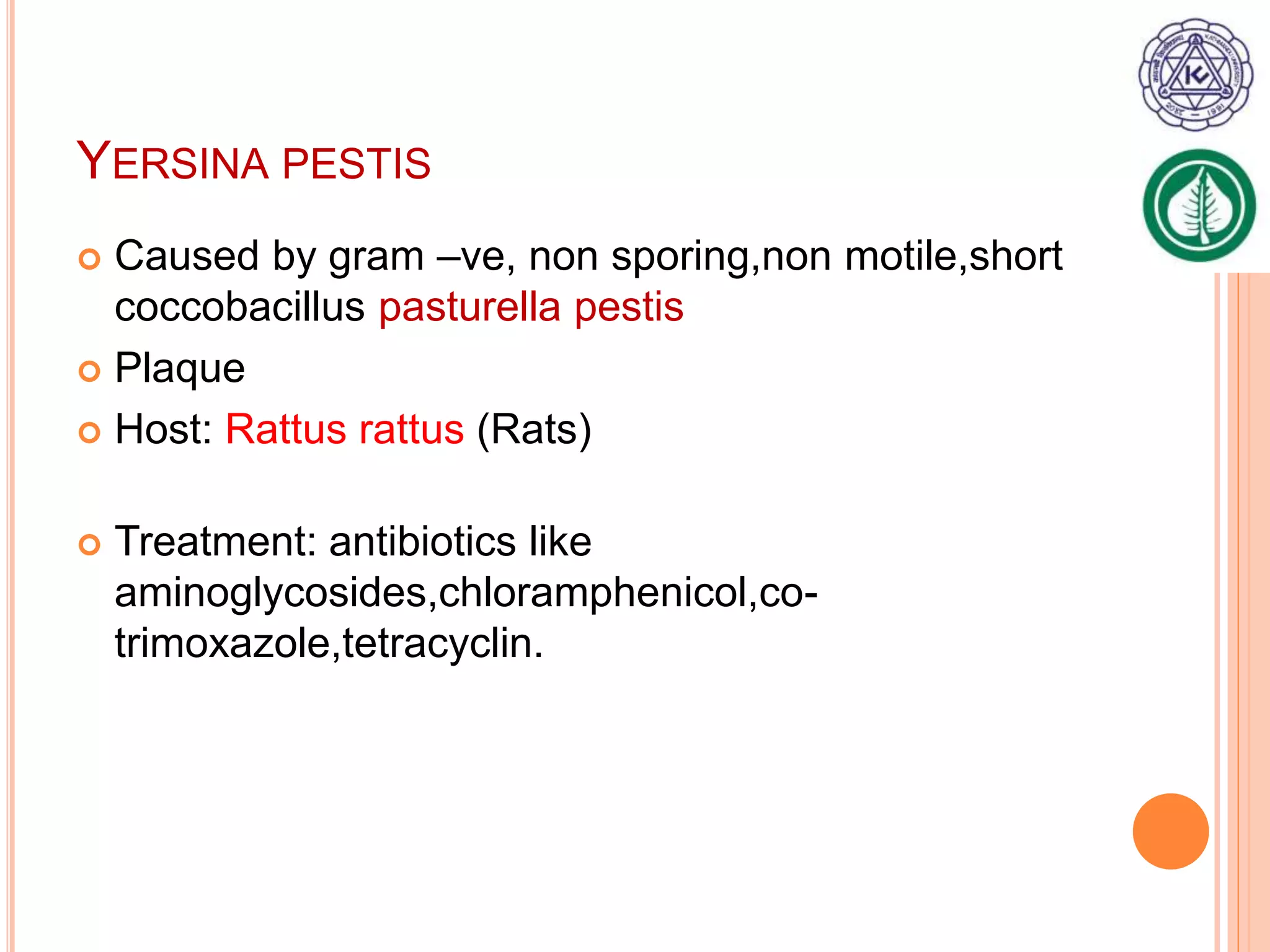 YERSINA PESTIS
Caused by gram –ve, non sporing,non motile,short
coccobacillus pasturella pestis
Plaque
Host: Rattus rattus (Rats)
Treatment: antibiotics like
aminoglycosides,chloramphenicol,co-
trimoxazole,tetracyclin.