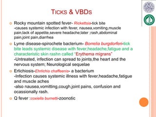Image showcasing Vector borne disease | PPTX