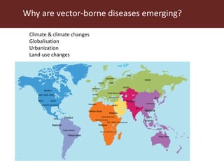 Vector-borne diseases in a changing world: Case studies of Japanese encephalitis virus and East African arboviruses
