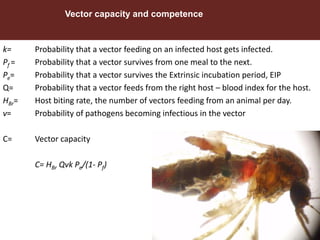 Vector-borne diseases in a changing world: Case studies of Japanese encephalitis virus and East African arboviruses