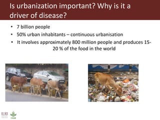 Vector-borne diseases in a changing world: Case studies of Japanese encephalitis virus and East African arboviruses