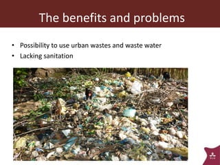 Vector-borne diseases in a changing world: Case studies of Japanese encephalitis virus and East African arboviruses