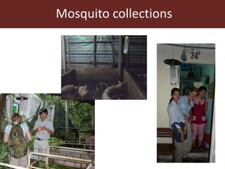 Vector-borne diseases in a changing world: Case studies of Japanese encephalitis virus and East African arboviruses