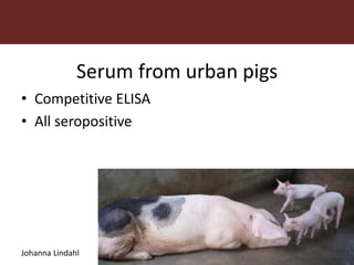 Vector-borne diseases in a changing world: Case studies of Japanese encephalitis virus and East African arboviruses