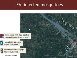 Vector-borne diseases in a changing world: Case studies of Japanese encephalitis virus and East African arboviruses